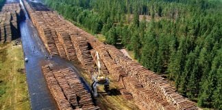 LIGNOL® by RenFuel: a sustainable solution from the Swedish forest