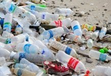 Plastic waste: bottle found on British beach