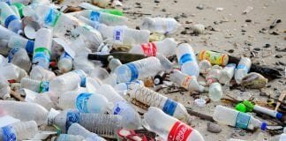 Plastic waste: bottle found on British beach
