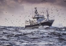 how shipping affects biodiversity