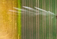 water reuse in agriculture